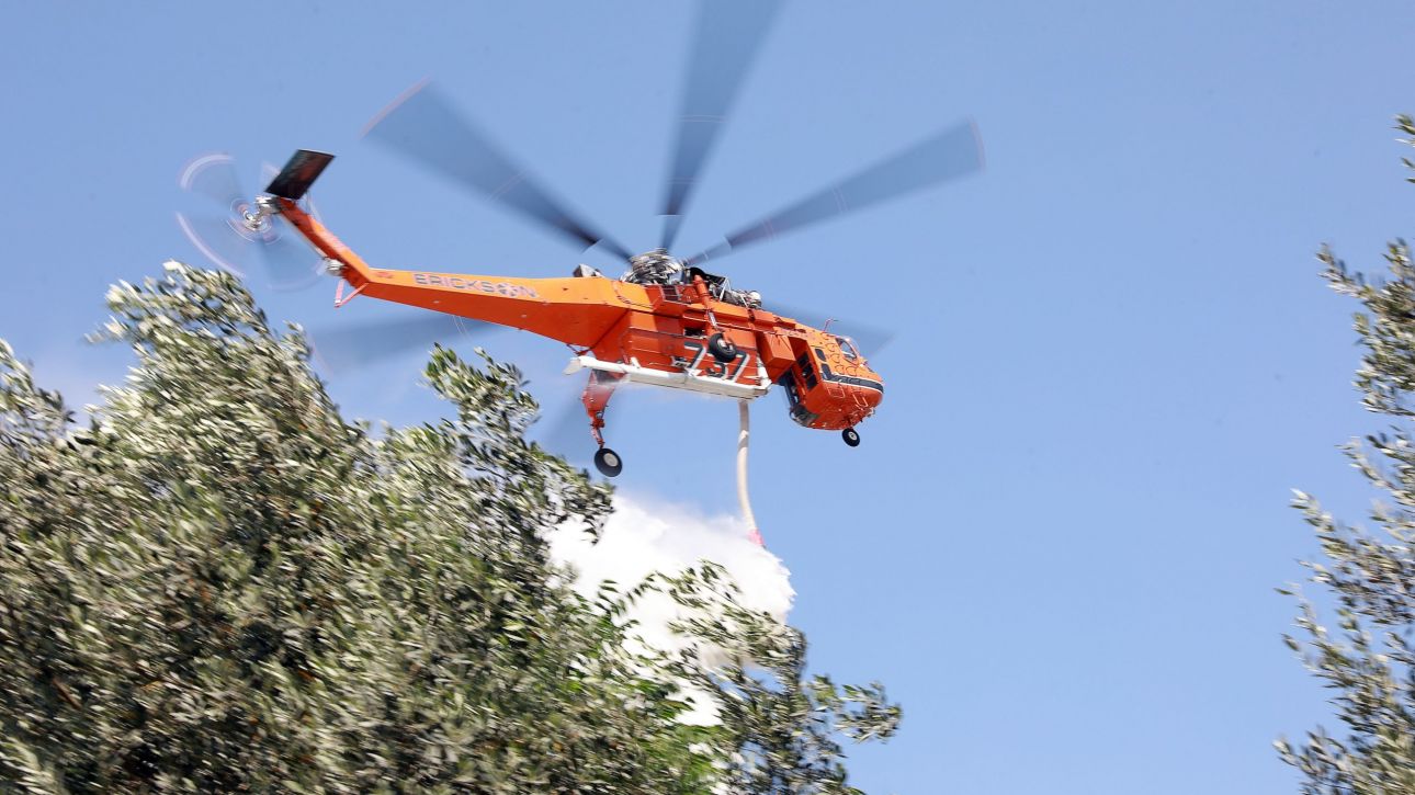 Φωτιά σε δασική έκταση στην Καλλιτεχνιούπολη: Στη μάχη 10 εναέρια μέσα, εστάλη 112 Φωτιά σε δασική έκταση στην Καλλιτεχνιούπολη: Στη μάχη 10 εναέρια μέσα, εστάλη 112