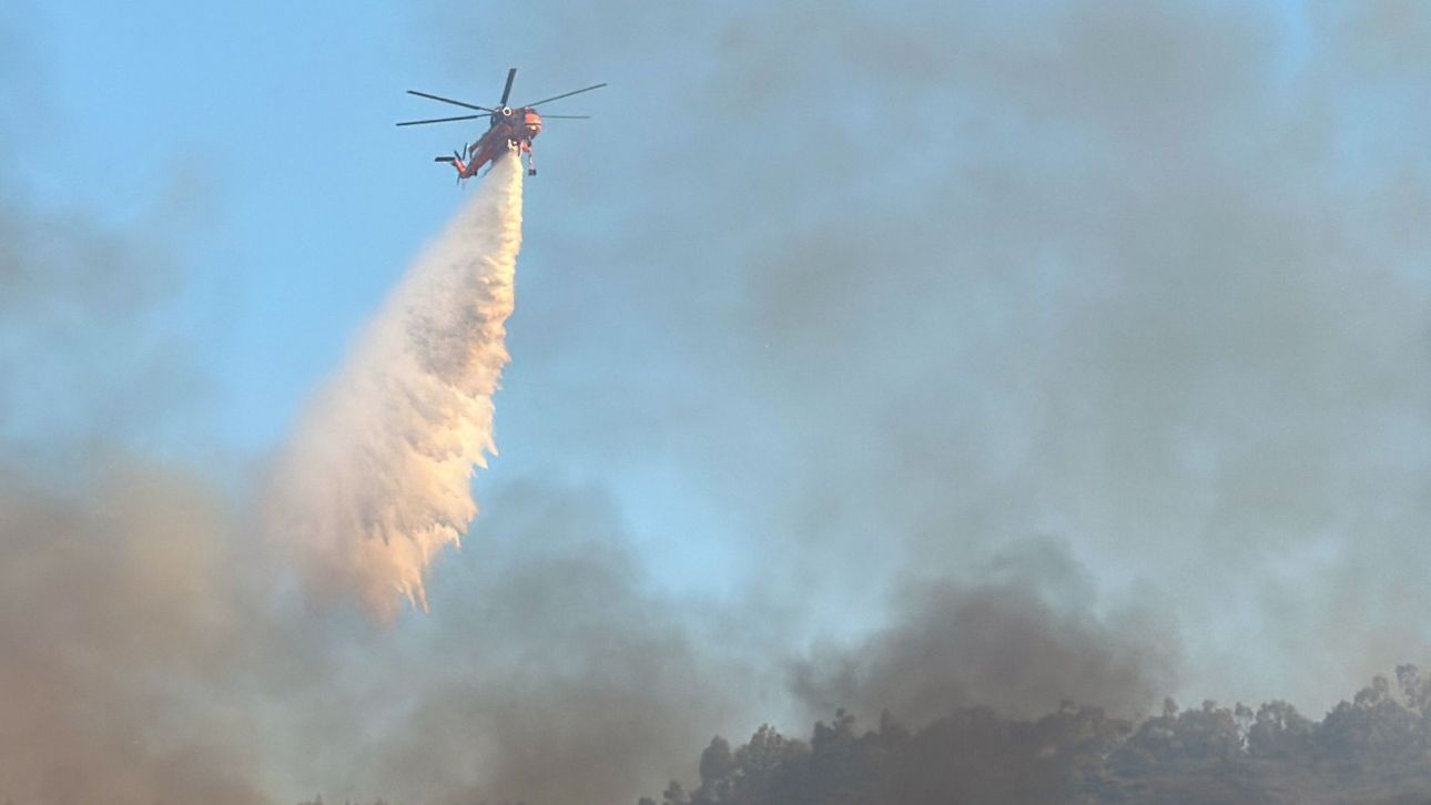 Φωτιά στη Μεγάλη Βόλβη Θεσσαλονίκης – Περιορίστηκε σε δύο εστίες