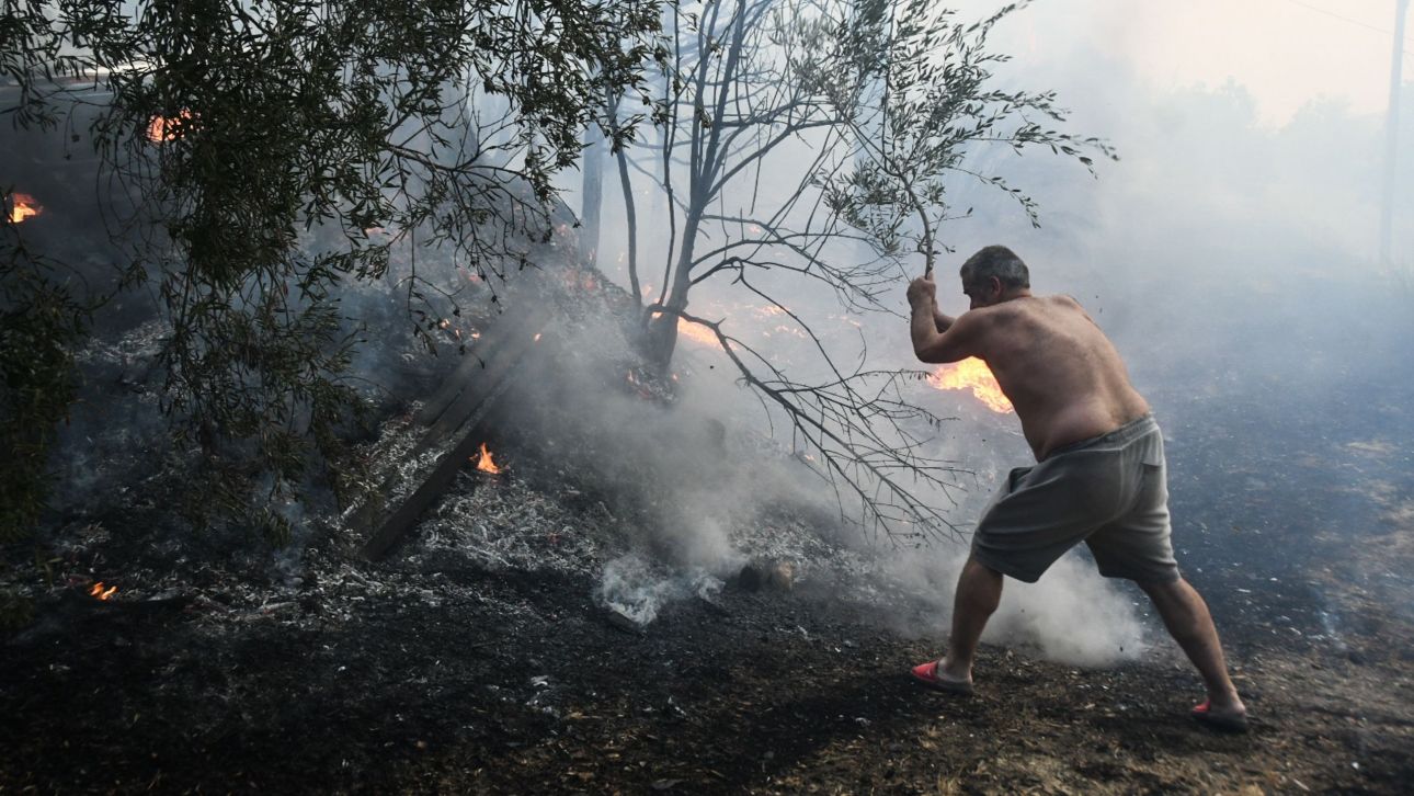 Φωτιά στην Αχαΐα: Αναζητείται κτηνοτρόφος που προσπάθησε να σώσει τα αιγοπρόβατά του