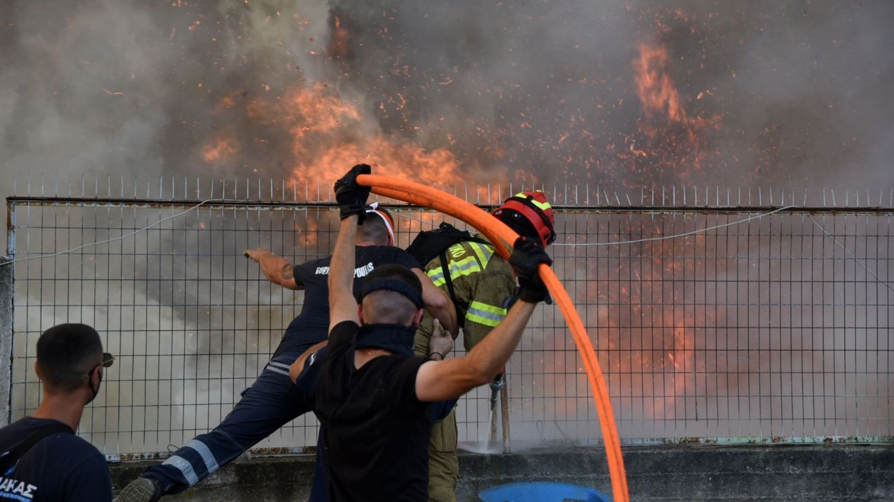 Τσίγκας: Μέσα σε τέσσερις ημέρες εκδηλώθηκαν 242 πυρκαγιές σε όλη τη χώρα Τσίγκας: Μέσα σε τέσσερις ημέρες εκδηλώθηκαν 242 πυρκαγιές σε όλη τη χώρα