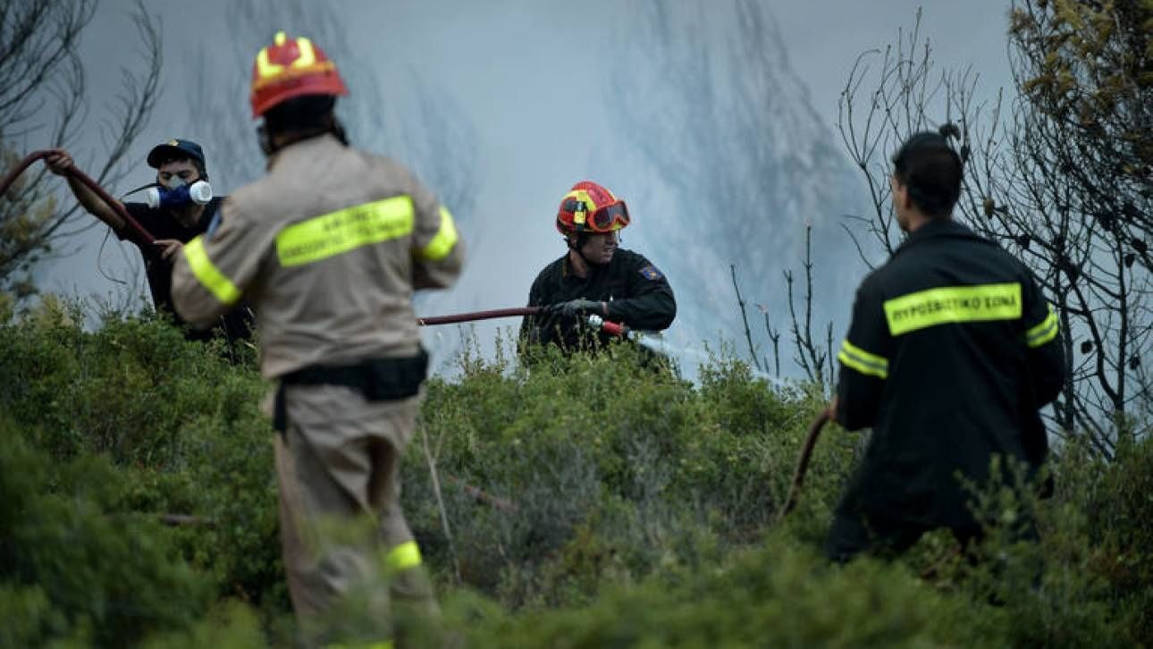 Πυρκαγιά στην Ανατολική Μάνη – CNN.gr Πυρκαγιά στην Ανατολική Μάνη – CNN.gr