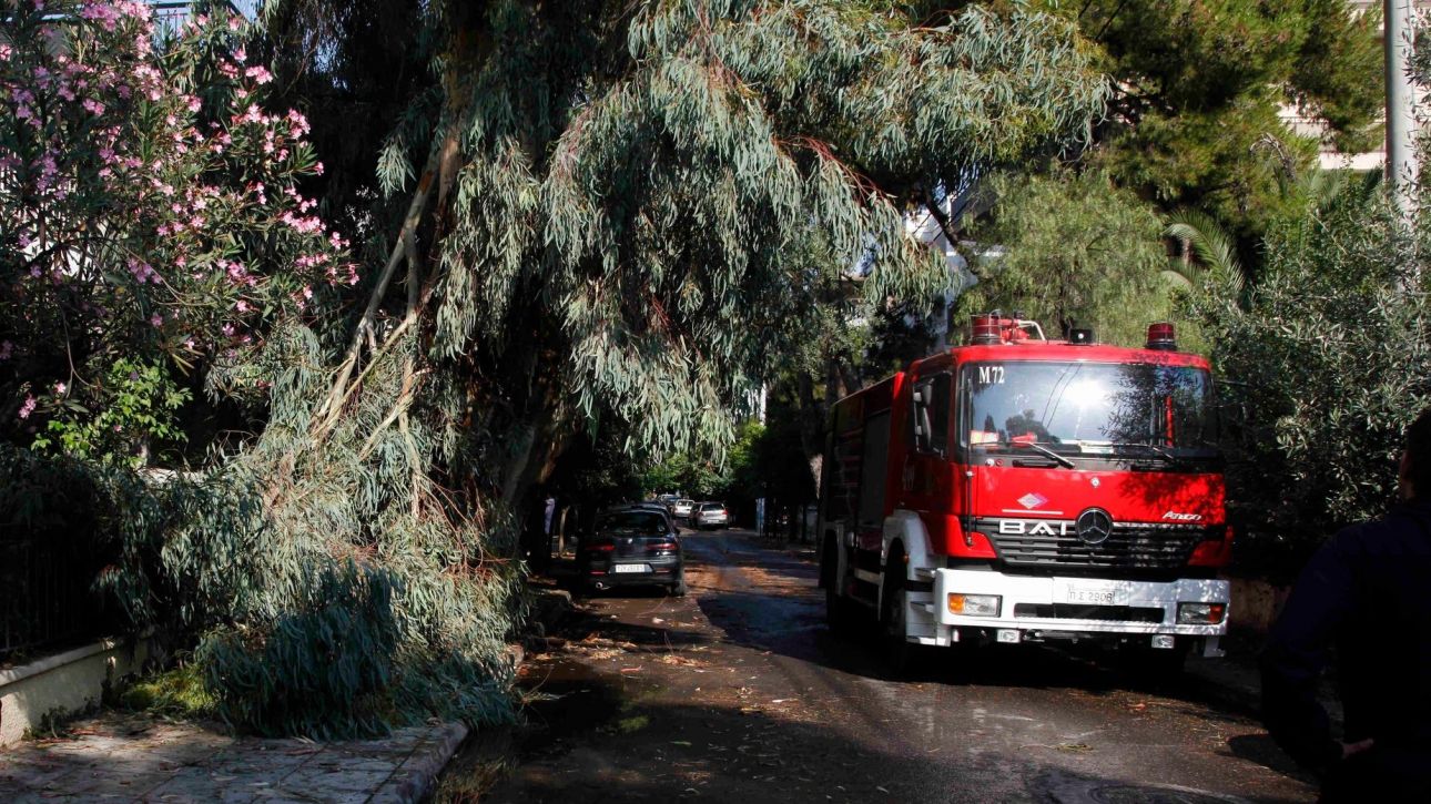 Μέτσοβο: 54χρονος καταπλακώθηκε από δέντρο