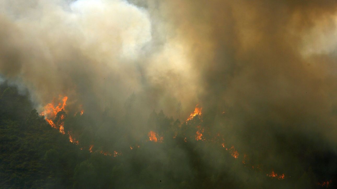 Mega-fire καίει 10 ημέρες την Πορτογαλία: Στάχτη 600.000 στρέμματα, 1.600 πυροσβέστες στη μάχη Mega-fire καίει 10 ημέρες την Πορτογαλία: Στάχτη 600.000 στρέμματα, 1.600 πυροσβέστες στη μάχη
