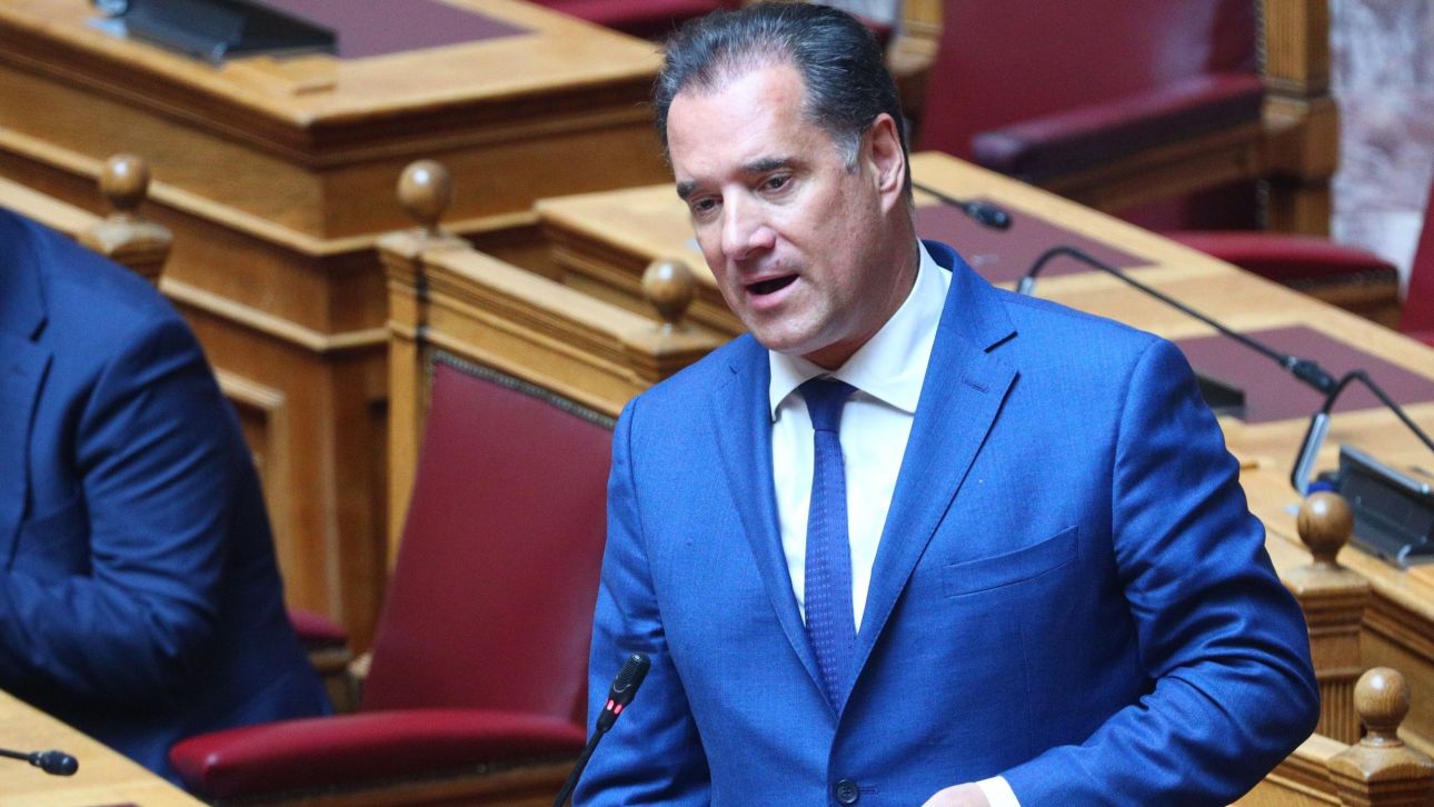 Γεωργιάδης για ΔΕΘ: Θα πέσει πολύ κλάμα στην αντιπολίτευση μετά την ομιλία Μητσοτάκη Γεωργιάδης για ΔΕΘ: Θα πέσει πολύ κλάμα στην αντιπολίτευση μετά την ομιλία Μητσοτάκη