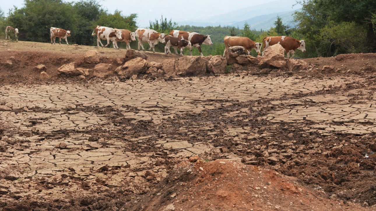 Συνθήκες εξαιρετικής ξηρασίας στην Ευρώπη και τη Μεσόγειο - Πάνω από το 50% της ηπείρου έχει πληγεί