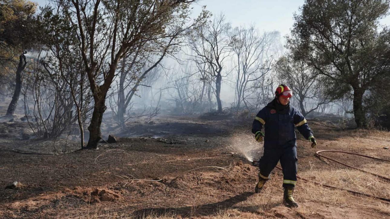 Φωτιά στη Μυτιλήνη - Επιχειρούν έξι εναέρια μέσα