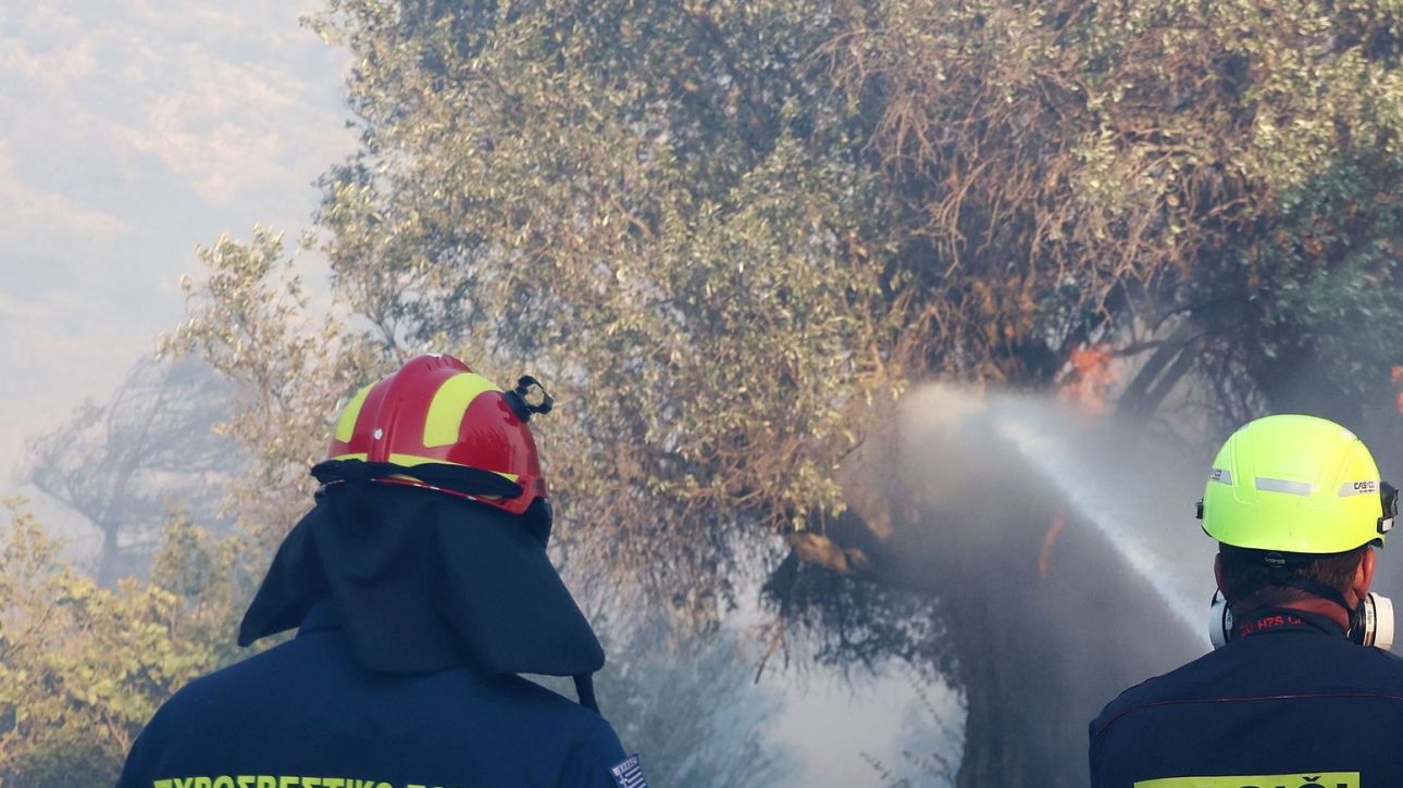 Οριοθετήθηκε μέσα σε μία ώρα η φωτιά στην Κερατέα Οριοθετήθηκε μέσα σε μία ώρα η φωτιά στην Κερατέα