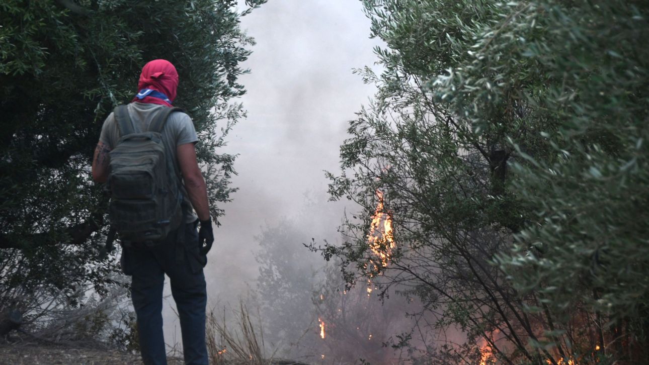 Υπό έλεγχο η φωτιά στη Μυτιλήνη: Συνεχίζεται η μάχη με μικρές εστίες σε καμένες εκτάσεις Υπό έλεγχο η φωτιά στη Μυτιλήνη: Συνεχίζεται η μάχη με μικρές εστίες σε καμένες εκτάσεις
