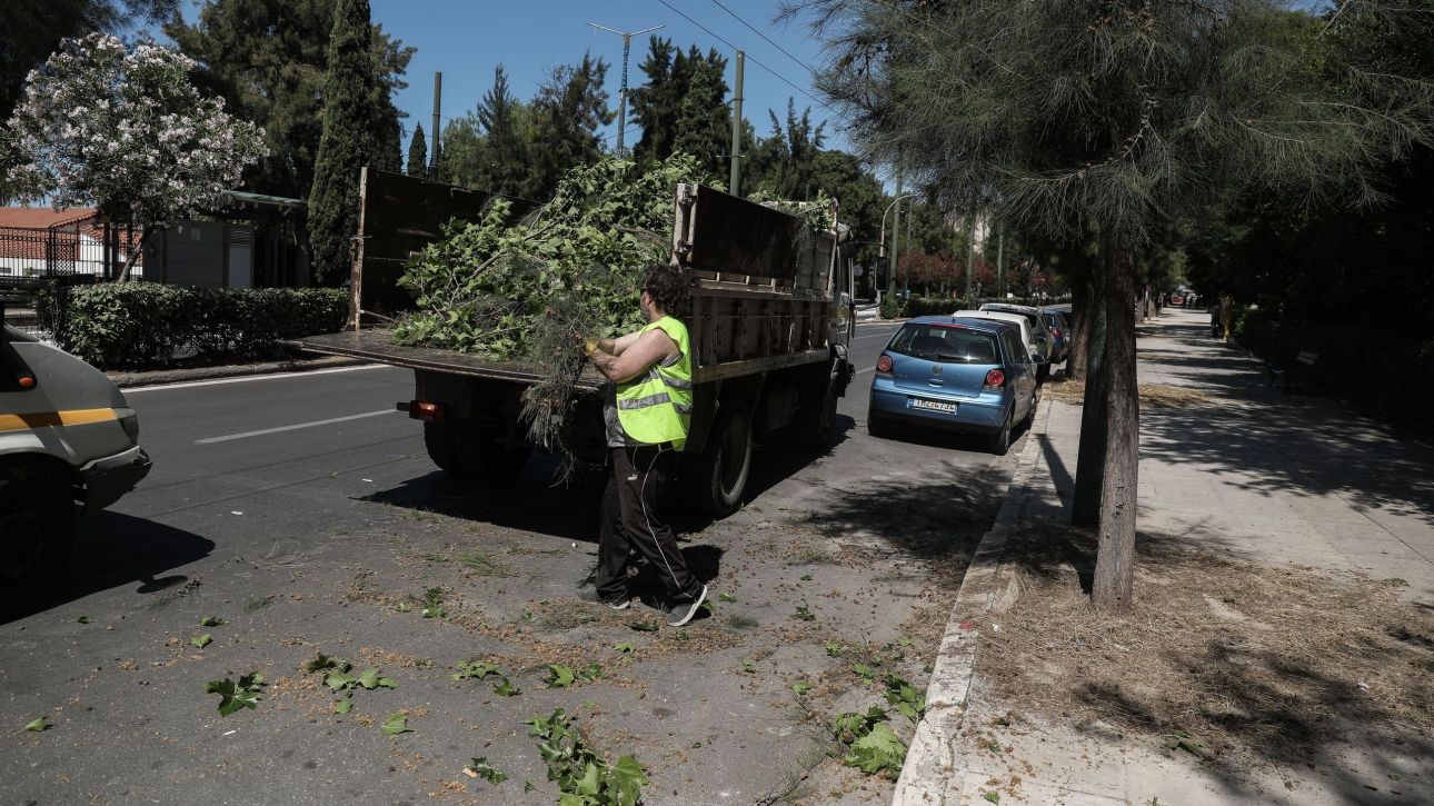 Συνελήφθη 34χρονος που γρονθοκόπησε δημοτικό υπάλληλο στην Ευκαρπία Θεσσαλονίκης – Αφορμή ένα δέντρο Συνελήφθη 34χρονος που γρονθοκόπησε δημοτικό υπάλληλο στην Ευκαρπία Θεσσαλονίκης – Αφορμή ένα δέντρο