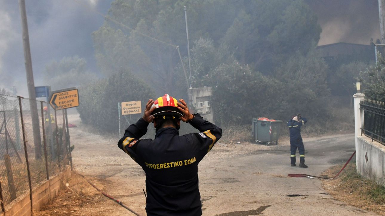 Έρχονται έργα ύψους 41 εκατ. ευρώ για την αποκατάσταση ζημιών από τις φωτιές στη Δ. Ελλάδα Έρχονται έργα ύψους 41 εκατ. ευρώ για την αποκατάσταση ζημιών από τις φωτιές στη Δ. Ελλάδα