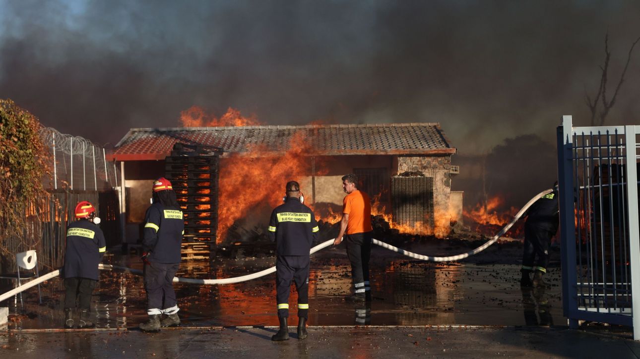 Μενίδι: Ολοσχερής η καταστροφή στην επιχείρηση ξυλείας – Έρευνα για τα αίτια της μεγάλης φωτιάς