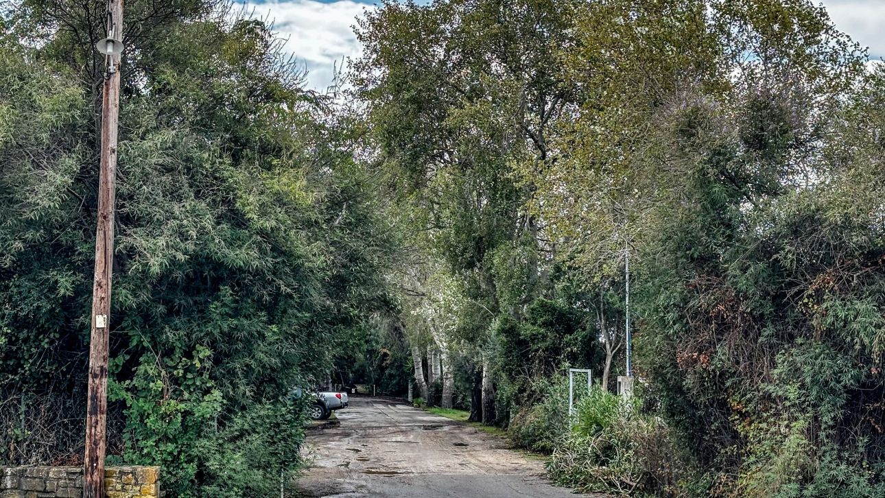 Φοινικούντα: Οι δύο απόπειρες εκφοβισμού και η σεξουαλική κακοποίηση – Τι υποστήριξε ο συνεργός Φοινικούντα: Οι δύο απόπειρες εκφοβισμού και η σεξουαλική κακοποίηση – Τι υποστήριξε ο συνεργός