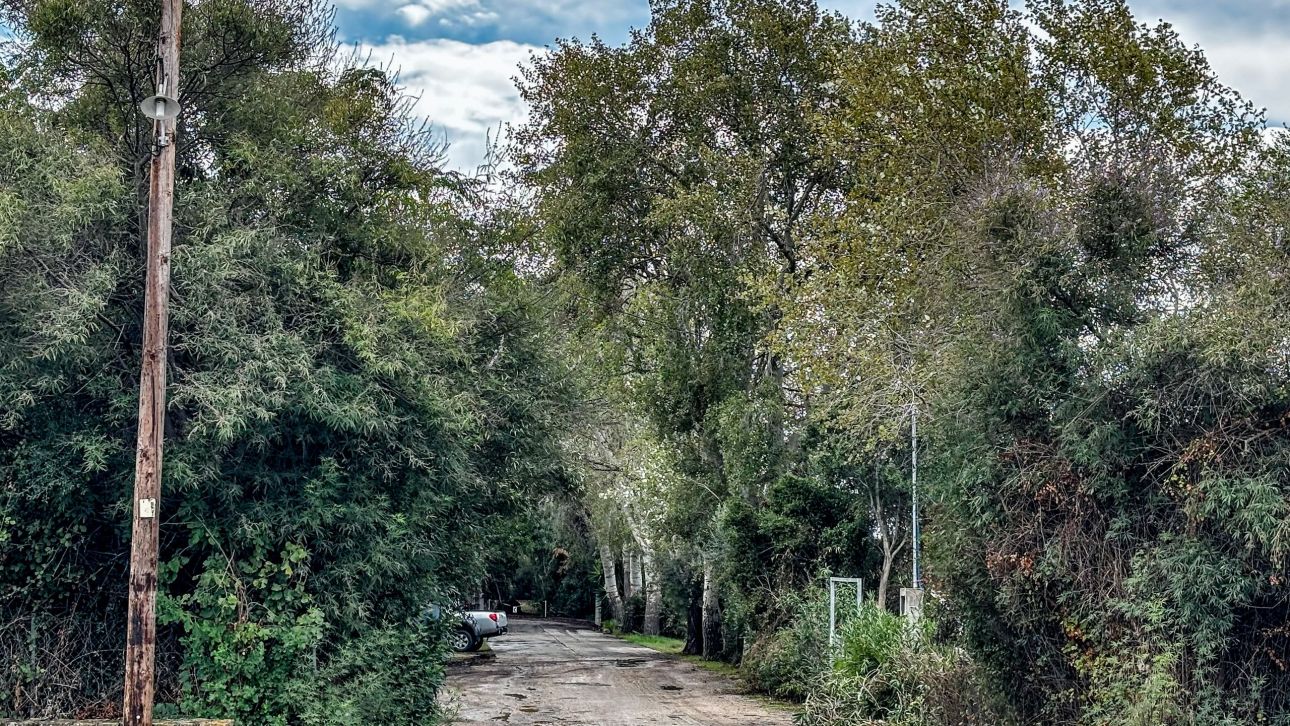 Κοντά σε απαντήσεις για το μυστήριο της Φοινικούντας: Νέα πρόσωπα στο «κάδρο», «μιλούν» τα κινητά Κοντά σε απαντήσεις για το μυστήριο της Φοινικούντας: Νέα πρόσωπα στο «κάδρο», «μιλούν» τα κινητά