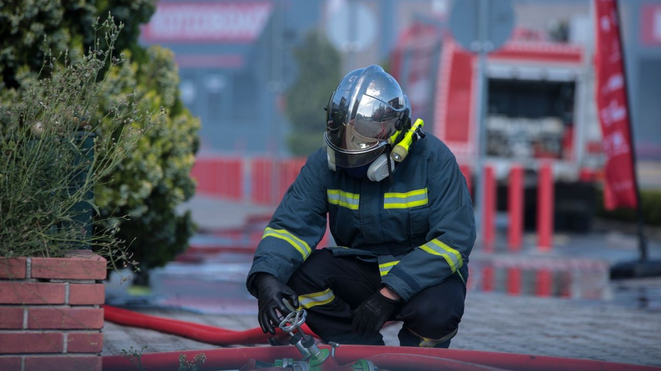 Πυρκαγιά σε διαμέρισμα στη Θεσσαλονίκη – Πέθαναν από ασφυξία επτά γάτες Πυρκαγιά σε διαμέρισμα στη Θεσσαλονίκη – Πέθαναν από ασφυξία επτά γάτες