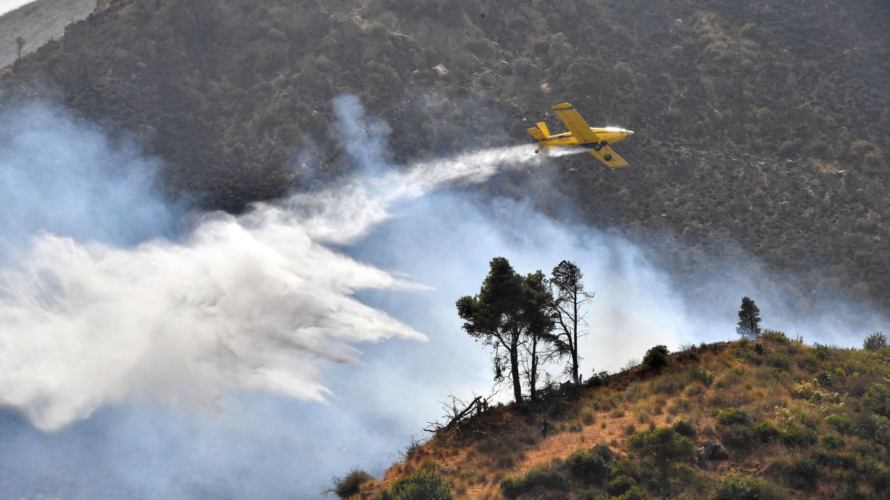 Αλγερία: Ο πρόεδρος Τεμπούν διατάσσει έρευνα για τα αίτια των πυρκαγιών