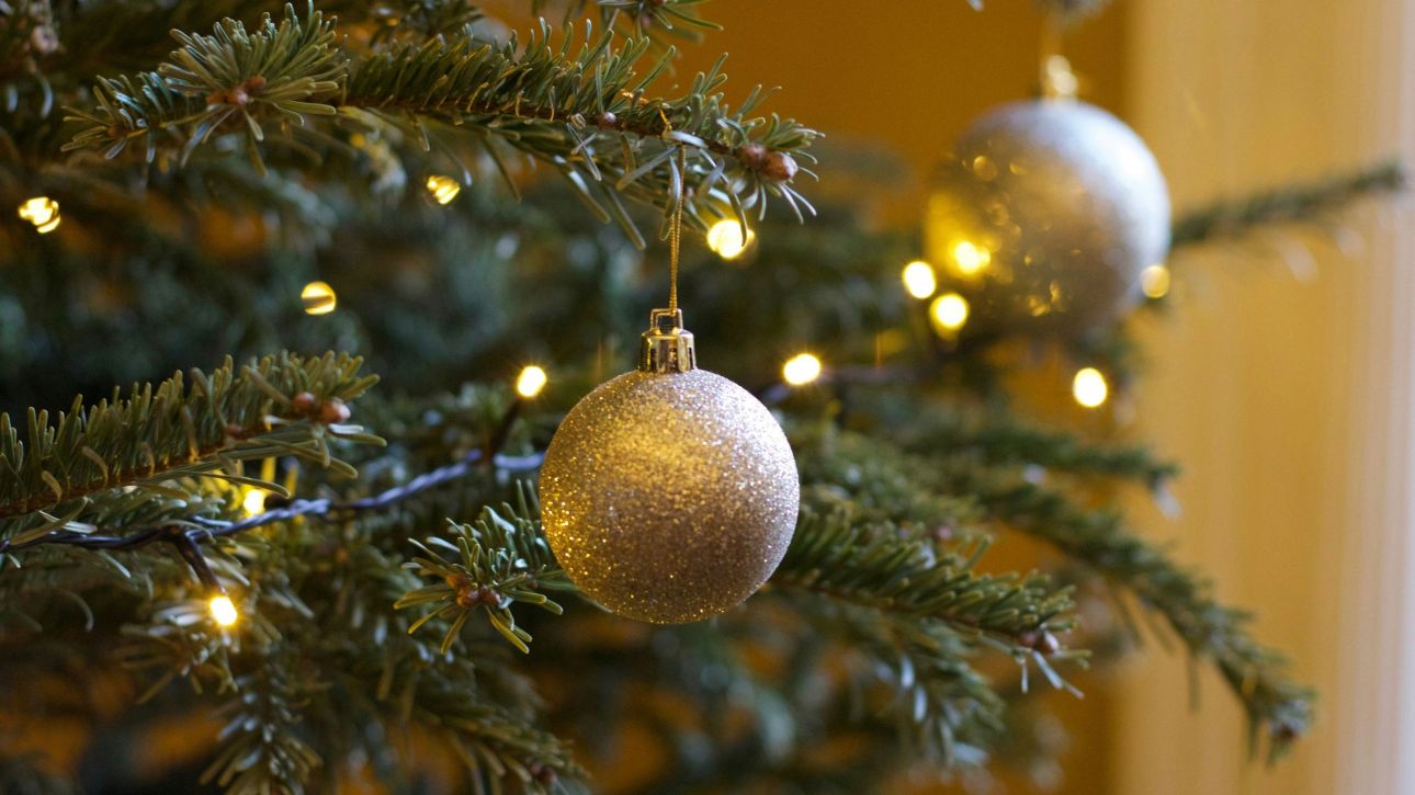 Άνδρας εισέβαλε σε αυλή σπιτιού στη Θεσσαλονίκη για να κλέψει το… χριστουγεννιάτικο δέντρο