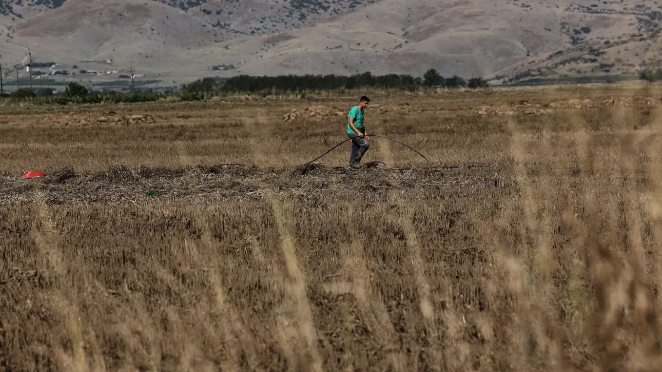 Αγροτικές επιδοτήσεις: Το μεταβατικό σύστημα πληρωμών και ελέγχων