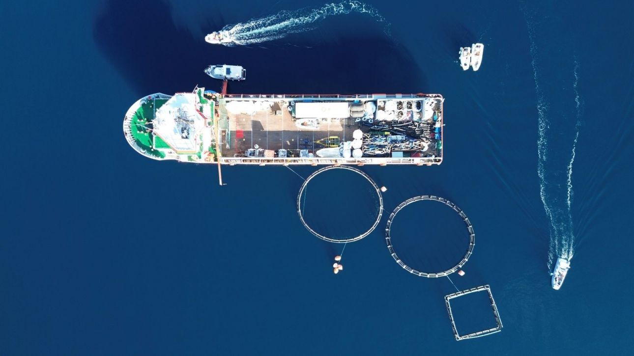 «Typhoon Project»: 40 τόνοι απορριμμάτων απομακρύνθηκαν από εγκαταλελειμμένη ιχθυοκαλλιέργεια