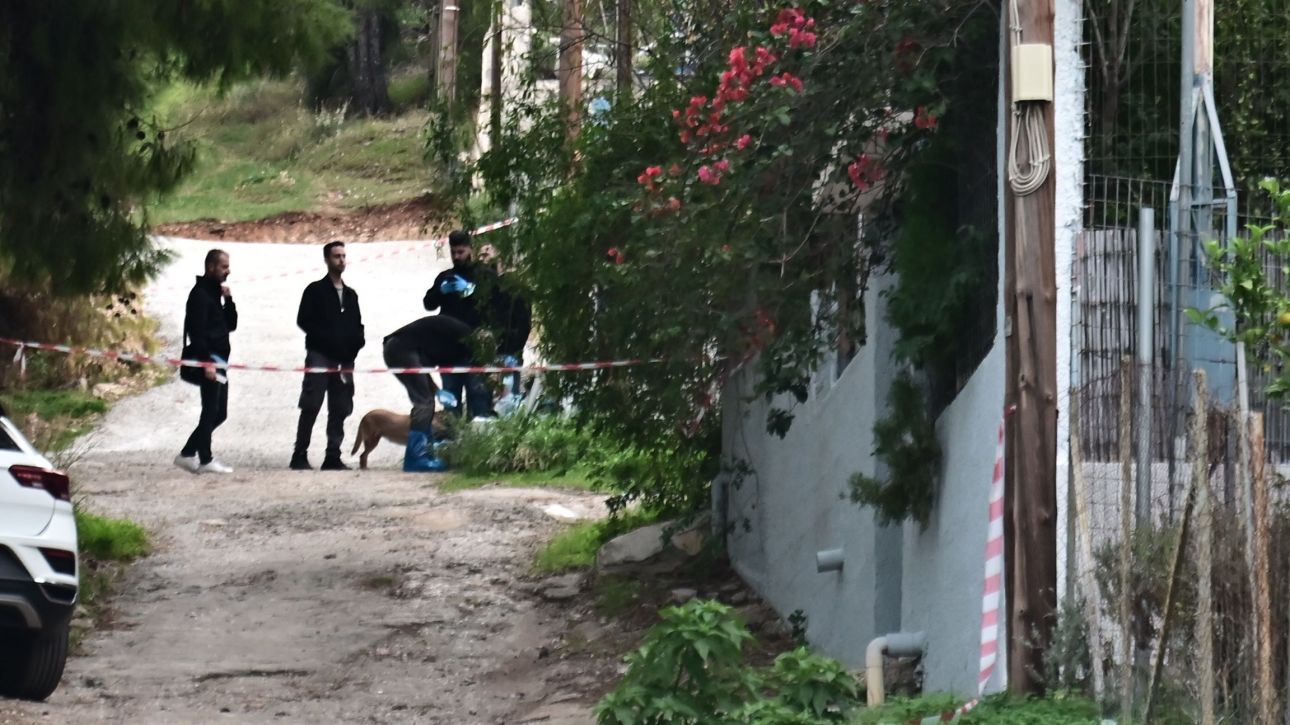Σαλαμίνα: Τα λάθη που πρόδωσαν την 46χρονη δολοφόνο της 75χρονης – Σήμερα στον εισαγγελέα