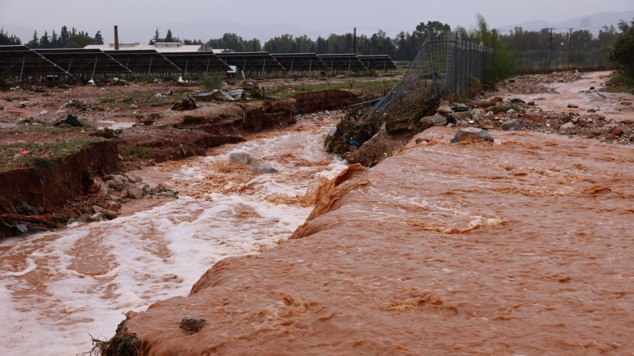 Εύβοια: Πλημμυρισμένα σπίτια και επιχειρήσεις – Συνεχίζει η Πυροσβεστική την άντληση υδάτων