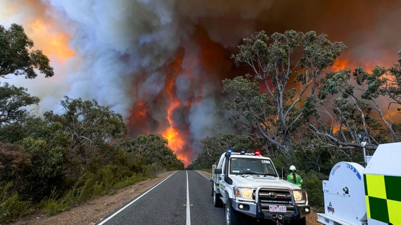 Αυστραλία: Καταστροφικές πυρκαγιές και καύσωνας πλήττουν τη Νέα Νότια Ουαλία