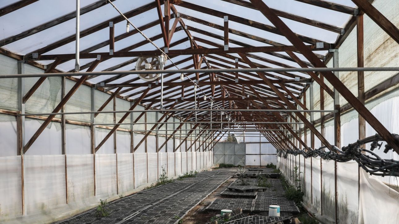 Απαγχονισμένος μέσα σε θερμοκήπιο βρέθηκε 31χρονος εργάτης γης στην Ηλεία