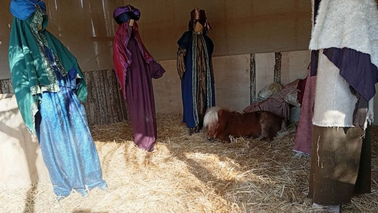 Βόλος: Αντιδράσεις από φιλόζωους για το ζωντανό αλογάκι πόνυ σε φάτνη