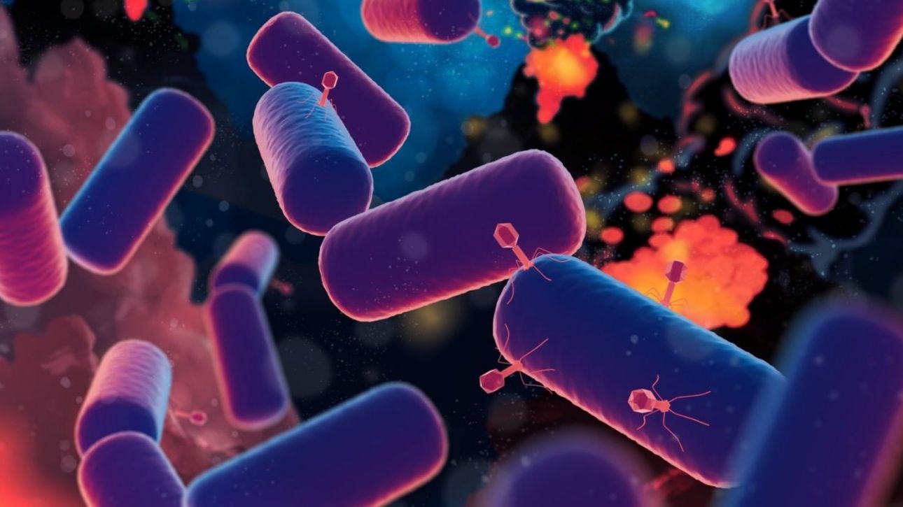 Όλη η ζωή στη Γη προέρχεται από έναν μόνο πρόγονο – και είναι πολύ παλαιότερη από ό,τι πιστεύαμε