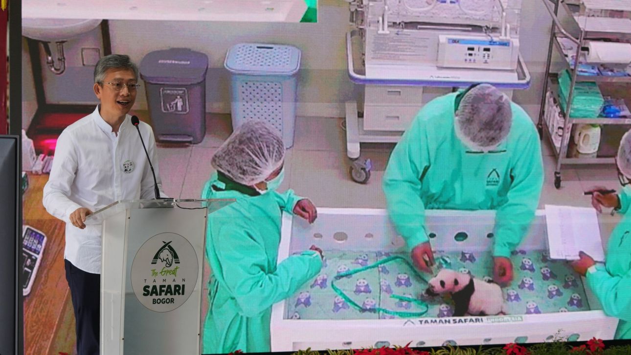 &Gamma;&iota;&alpha; &pi;&rho;ώ&tau;&eta; &phi;&omicron;&rho;ά &epsilon;&kappa;&tau;ό&sigmaf; &theta;&epsilon;&rho;&mu;&omicron;&kappa;&omicron;&iota;&tau;ί&delta;&alpha;&sigmaf; &tau;&omicron; &pi;&rho;ώ&tau;&omicron; &mu;&omega;&rho;ό &pi;ά&nu;&tau;&alpha; &tau;&eta;&sigmaf; &Iota;&nu;&delta;&omicron;&nu;&eta;&sigma;ί&alpha;&sigmaf;