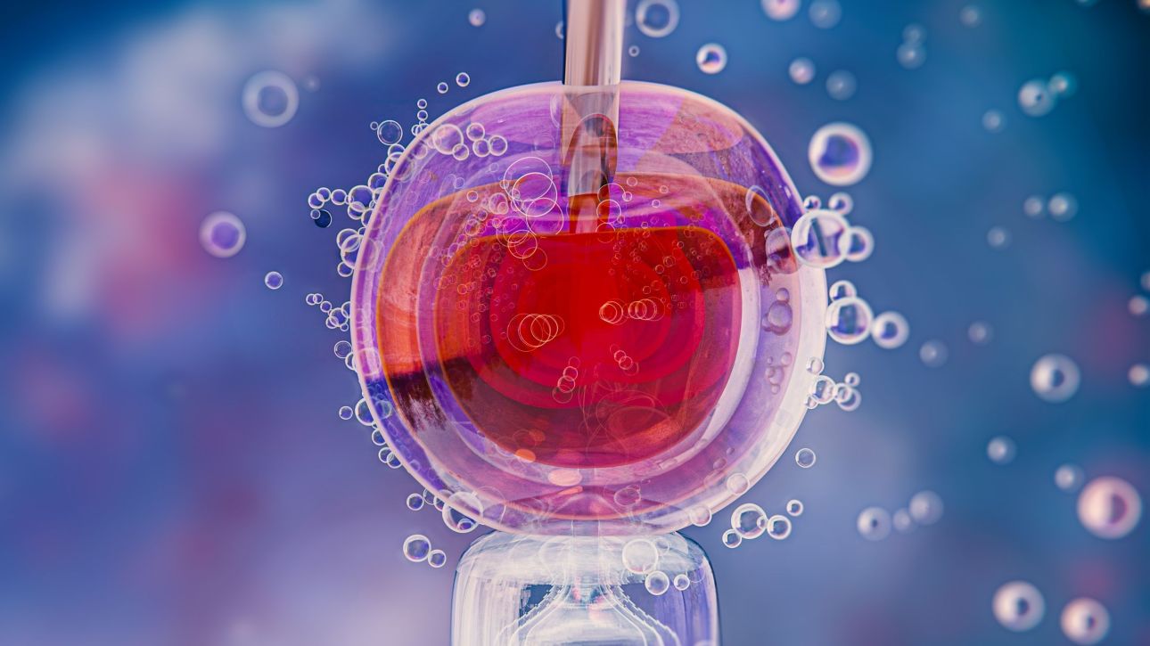 &Epsilon;&xi;&omega;&sigma;&omega;&mu;&alpha;&tau;&iota;&kappa;ή &gamma;&omicron;&nu;&iota;&mu;&omicron;&pi;&omicron;ί&eta;&sigma;&eta;: &Omicron;&iota; &tau;&epsilon;&lambda;&epsilon;&upsilon;&tau;&alpha;ί&epsilon;&sigmaf; &epsilon;&xi;&epsilon;&lambda;ί&xi;&epsilon;&iota;&sigmaf; &pi;&omicron;&upsilon; &alpha;&lambda;&lambda;ά&zeta;&omicron;&upsilon;&nu; &tau;&alpha; &delta;&epsilon;&delta;&omicron;&mu;έ&nu;&alpha;