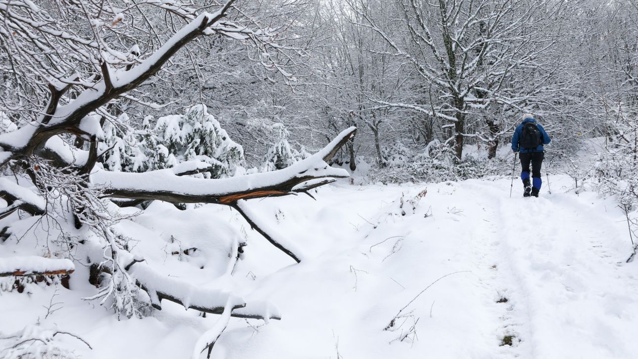 Σοβαρά προβλήματα στη Φθιώτιδα λόγω κακοκαιρίας: Χωρίς ρεύμα περιοχές – Χιόνια στην Ευρυτανία