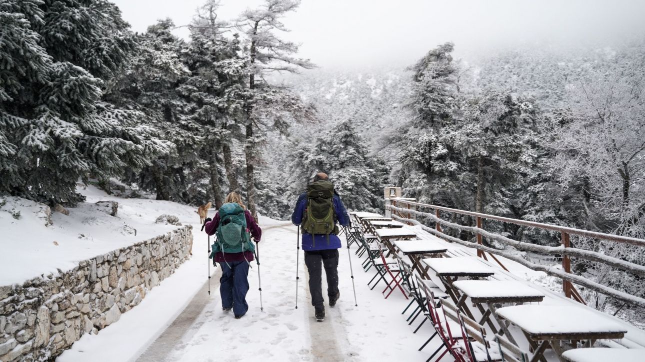Ντάφης στο CNN Greece: «Πραγματικότητα, όχι μελλοντική πρόβλεψη η μείωση των χιονιών στην Ελλάδα»