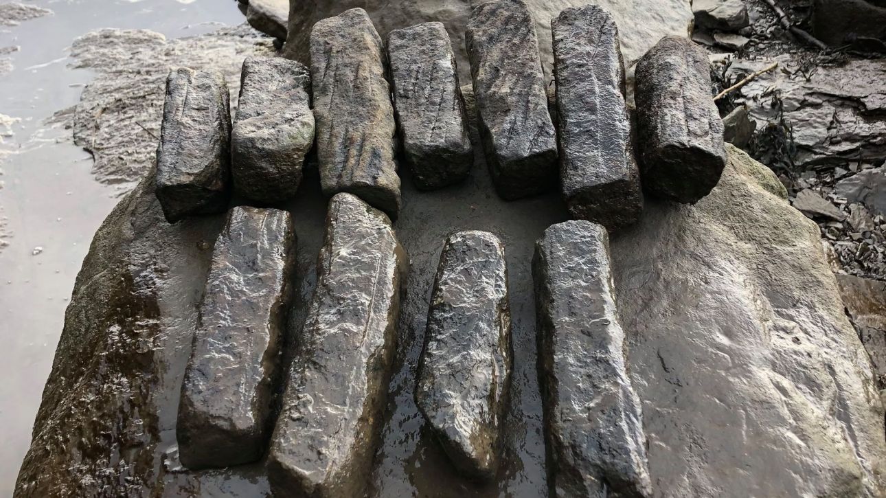 Αρχαιολόγοι ανακαλύπτουν ενδείξεις ρωμαϊκού βιομηχανικού κόμβου σε περιοχή του Σάντερλαντ