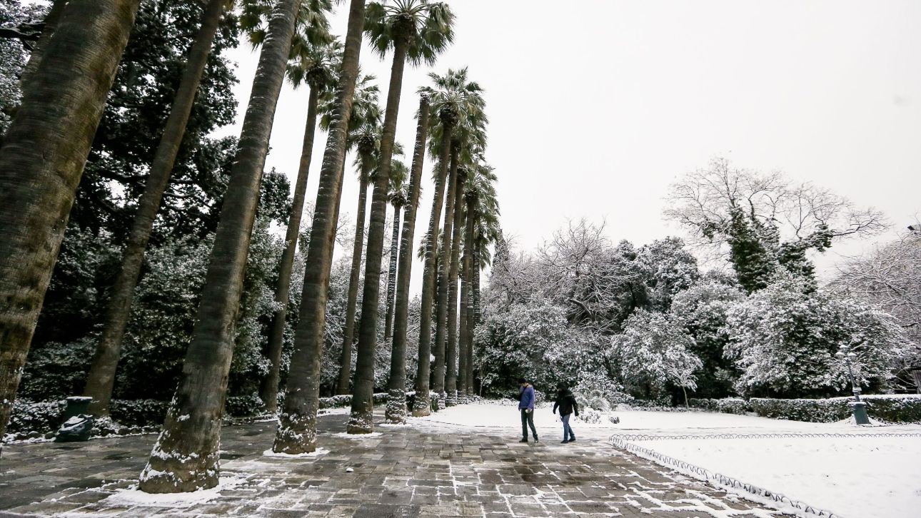 &Kappa;&lambda;&epsilon;&iota;&sigma;&tau;&omicron;ί &omicron;&iota; &beta;&rho;&epsilon;&phi;&omicron;&nu;&eta;&pi;&iota;&alpha;&kappa;&omicron;ί &kappa;&alpha;&iota; &omicron;&iota; &pi;&alpha;&iota;&delta;&iota;&kappa;&omicron;ί &sigma;&tau;&alpha;&theta;&mu;&omicron;ί &tau;&omicron;&upsilon; &Delta;ή&mu;&omicron;&upsilon; &Alpha;&theta;&eta;&nu;&alpha;ί&omega;&nu; &alpha;ύ&rho;&iota;&omicron;