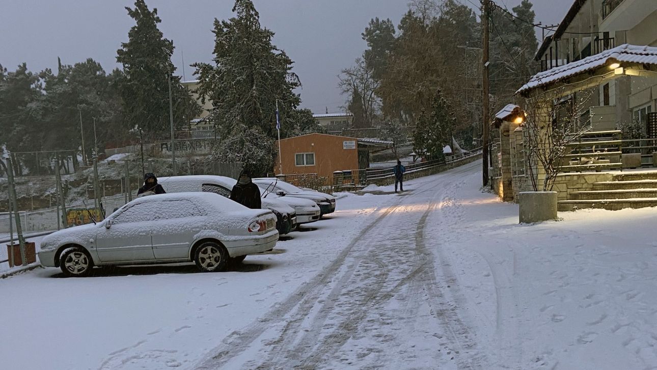 &Sigma;&tau;&alpha; &lambda;&epsilon;&upsilon;&kappa;ά &Kappa;&omicron;&zeta;ά&nu;&eta;, &Gamma;&rho;&epsilon;&beta;&epsilon;&nu;ά, &Kappa;&alpha;&sigma;&tau;&omicron;&rho;&iota;ά &kappa;&alpha;&iota; &Phi;&lambda;ώ&rho;&iota;&nu;&alpha; - &Pi;&omicron;&upsilon; &upsilon;&pi;ά&rho;&chi;&omicron;&upsilon;&nu; &pi;&rho;&omicron;&beta;&lambda;ή&mu;&alpha;&tau;&alpha; &sigma;&tau;&omicron; &omicron;&delta;&iota;&kappa;ό &delta;ί&kappa;&tau;&upsilon;&omicron;
