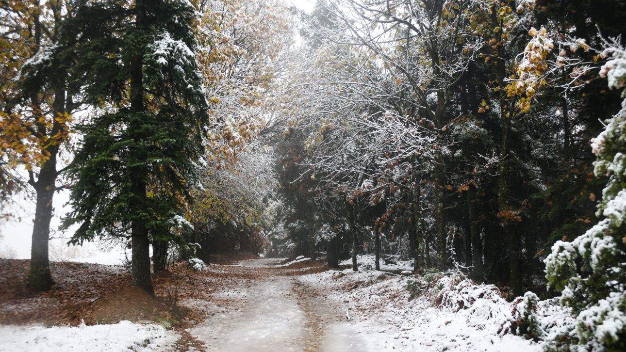 Έ&nu;&tau;&omicron;&nu;&eta; &chi;&iota;&omicron;&nu;ό&pi;&tau;&omega;&sigma;&eta; &sigma;&tau;&alpha; &omicron;&rho;&epsilon;&iota;&nu;ά &tau;&eta;&sigmaf; &Kappa;&alpha;&rho;&delta;ί&tau;&sigma;&alpha;&sigmaf; - &Upsilon;&pi;&omicron;&chi;&rho;&epsilon;&omega;&tau;&iota;&kappa;έ&sigmaf; &omicron;&iota; &alpha;&nu;&tau;&iota;&omicron;&lambda;&iota;&sigma;&theta;&eta;&tau;&iota;&kappa;έ&sigmaf; &alpha;&lambda;&upsilon;&sigma;ί&delta;&epsilon;&sigmaf;