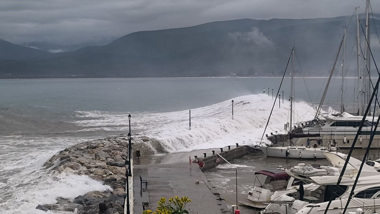 &Eta; &alpha;&nu;&alpha;&kappa;&omicron;ί&nu;&omega;&sigma;&eta; &tau;&omicron;&upsilon; &Lambda;&iota;&mu;&epsilon;&nu;&iota;&kappa;&omicron;ύ &gamma;&iota;&alpha; &tau;&omicron;&nu; &tau;&rho;&alpha;&gamma;&iota;&kappa;ό &theta;ά&nu;&alpha;&tau;&omicron; &tau;&omicron;&upsilon; 53&chi;&rho;&omicron;&nu;&omicron;&upsilon; &sigma;&tau;&omicron; Ά&sigma;&tau;&rho;&omicron;&sigmaf; - &Epsilon;&Delta;&Epsilon; &gamma;&iota;&alpha; &tau;&omicron; &sigma;&upsilon;&mu;&beta;ά&nu;