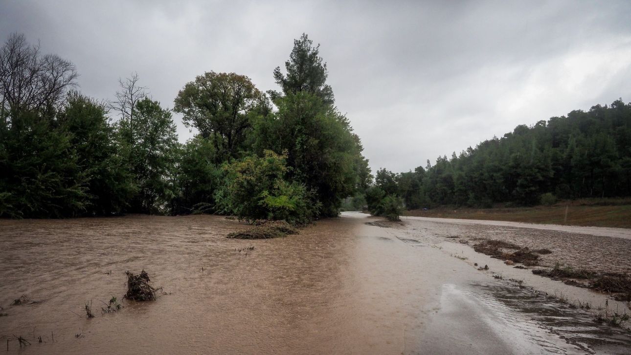 &Kappa;&alpha;&kappa;&omicron;&kappa;&alpha;&iota;&rho;ί&alpha;: &Theta;&upsilon;&epsilon;&lambda;&lambda;ώ&delta;&epsilon;&iota;&sigmaf; ά&nu;&epsilon;&mu;&omicron;&iota; &sigma;&tau;&eta;&nu; &Epsilon;ύ&beta;&omicron;&iota;&alpha;, &chi;&iota;ό&nu;&iota;&alpha; &kappa;&alpha;&iota; &pi;&rho;&omicron;&beta;&lambda;ή&mu;&alpha;&tau;&alpha; &sigma;&tau;&iota;&sigmaf; &mu;&epsilon;&tau;&alpha;&kappa;&iota;&nu;ή&sigma;&epsilon;&iota;&sigmaf; &sigma;&tau;&eta; &Sigma;&tau;&epsilon;&rho;&epsilon;ά