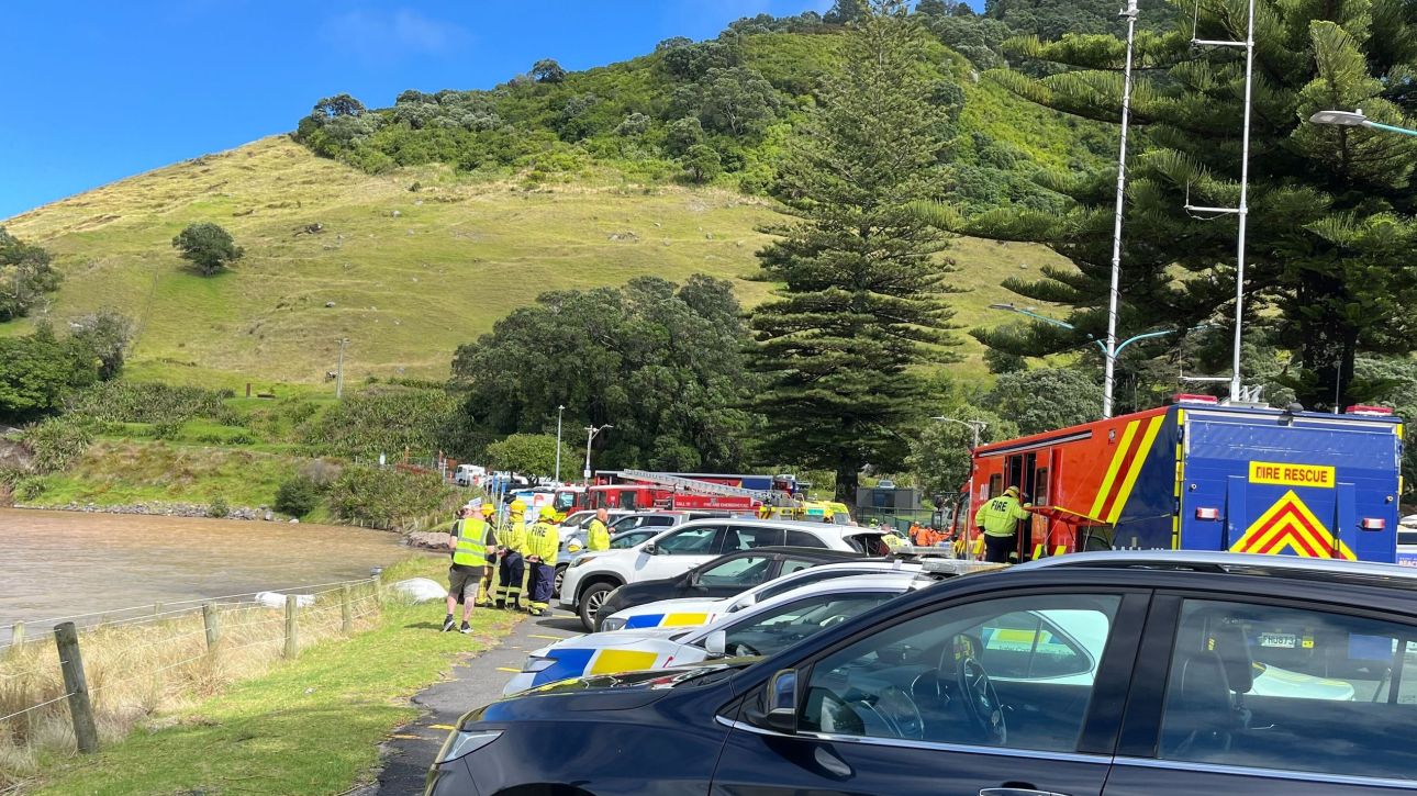 &Kappa;&alpha;&tau;&omicron;&lambda;ί&sigma;&theta;&eta;&sigma;&eta; &sigma;&epsilon; &chi;ώ&rho;&omicron; &kappa;&alpha;&tau;&alpha;&sigma;&kappa;ή&nu;&omega;&sigma;&eta;&sigmaf; &sigma;&tau;&eta;&nu; &Nu;έ&alpha; &Zeta;&eta;&lambda;&alpha;&nu;&delta;ί&alpha;