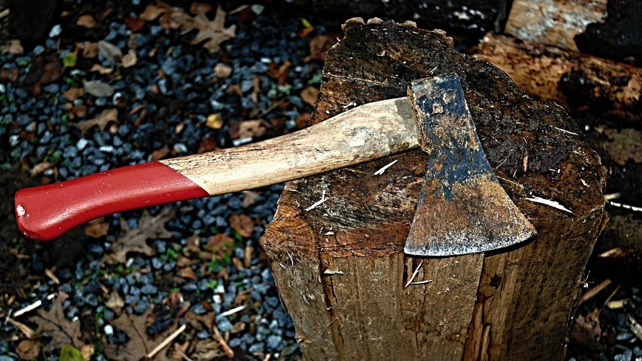 &Eta;&rho;ά&kappa;&lambda;&epsilon;&iota;&omicron;: &Sigma;&tau;&eta; &phi;&upsilon;&lambda;&alpha;&kappa;ή &omicron; ά&nu;&delta;&rho;&alpha;&sigmaf; &pi;&omicron;&upsilon; &kappa;&upsilon;&nu;&eta;&gamma;&omicron;ύ&sigma;&epsilon; &mu;&epsilon; &tau;&sigma;&epsilon;&kappa;&omicron;ύ&rho;&iota; &tau;&eta;&nu; &gamma;&epsilon;&iota;&tau;ό&nu;&iota;&sigma;&sigma;&alpha; &tau;&omicron;&upsilon; &kappa;&alpha;&iota; &tau;&omicron; &pi;&alpha;&iota;&delta;ί &tau;&eta;&sigmaf;