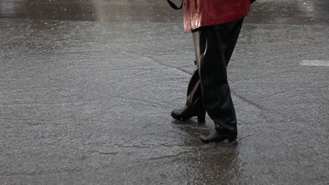 &Kappa;&alpha;&kappa;&omicron;&kappa;&alpha;&iota;&rho;ί&alpha;: &Delta;&iota;&alpha;&kappa;&omicron;&pi;ή &kappa;&upsilon;&kappa;&lambda;&omicron;&phi;&omicron;&rho;ί&alpha;&sigmaf; &sigma;&tau;&omicron; &rho;έ&mu;&alpha; &Beta;ά&rho;&delta;&alpha; &alpha;&pi;ό &tau;&alpha; &Sigma;&pi;ά&tau;&alpha; &pi;&rho;&omicron;&sigmaf; &tau;&omicron; &Pi;&iota;&kappa;έ&rho;&mu;&iota;