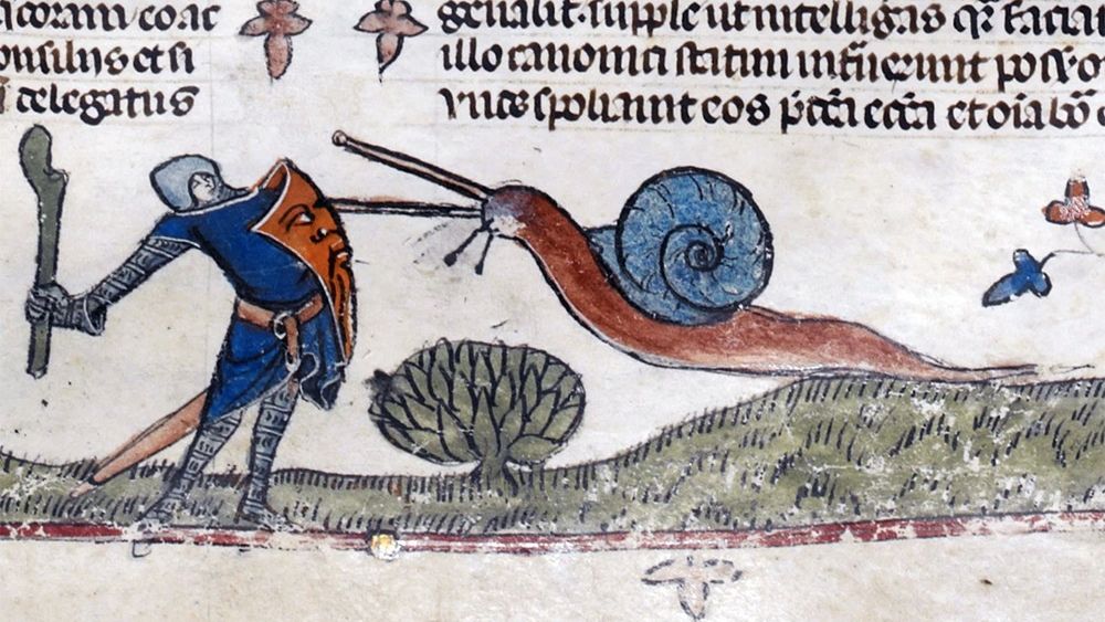 Γιατί ιππότες μονομαχούν με τεράστια σαλιγκάρια σε μεσαιωνικά χειρόγραφα