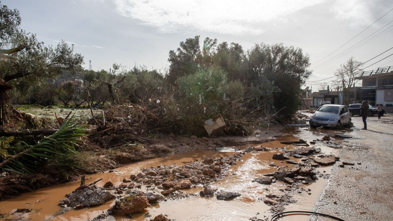 &Kappa;&alpha;&kappa;&omicron;&kappa;&alpha;&iota;&rho;ί&alpha; Kristin: &Kappa;&alpha;&tau;έ&rho;&rho;&epsilon;&upsilon;&sigma;&epsilon; &sigma;&pi;ί&tau;&iota; &sigma;&tau;&eta;&nu; &Pi;ά&tau;&rho;&alpha;, &pi;&lambda;&eta;&mu;&mu;ύ&rho;&iota;&sigma;&alpha;&nu; &delta;&rho;ό&mu;&omicron;&iota; &sigma;&tau;&eta;&nu; &Eta;&lambda;&epsilon;ί&alpha;