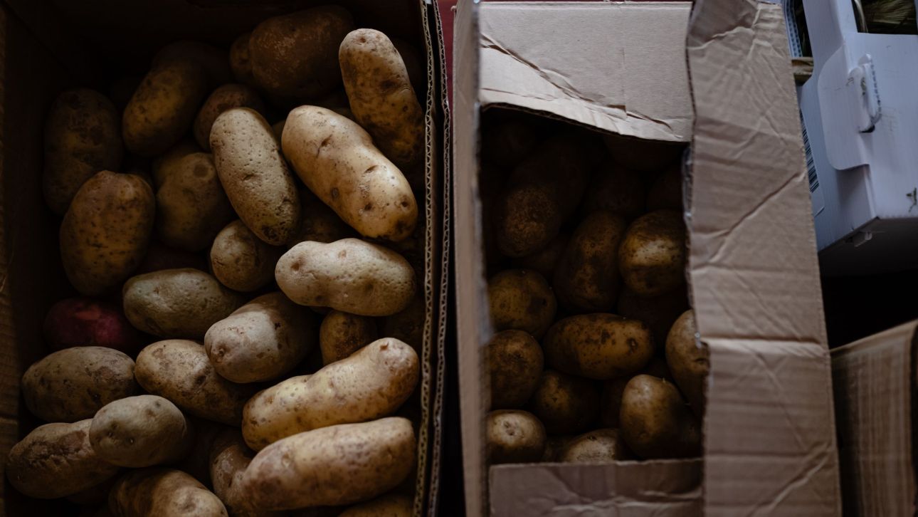 &Alpha;&gamma;&rho;ό&kappa;&tau;&eta;&mu;&alpha; &sigma;&tau;&eta; &Gamma;&epsilon;&rho;&mu;&alpha;&nu;ί&alpha; &chi;&alpha;&rho;ί&zeta;&epsilon;&iota; &epsilon;&kappa;&alpha;&tau;&omicron;&mu;&mu;ύ&rho;&iota;&alpha; &pi;&alpha;&tau;ά&tau;&epsilon;&sigmaf; &mu;&epsilon;&tau;ά &tau;&eta;&nu; &upsilon;&pi;&epsilon;&rho;&beta;&omicron;&lambda;&iota;&kappa;ά &mu;&epsilon;&gamma;ά&lambda;&eta; &sigma;&upsilon;&gamma;&kappa;&omicron;&mu;&iota;&delta;ή