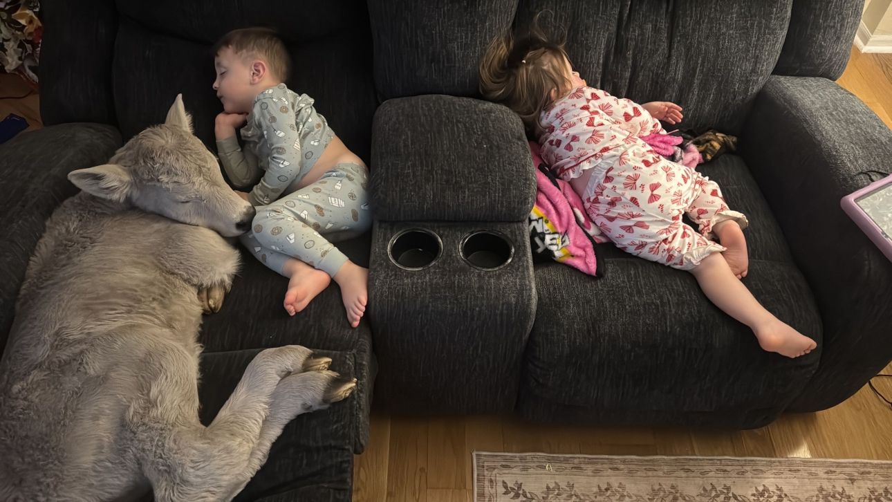 &Kappa;ύ&mu;&alpha; &psi;ύ&chi;&omicron;&upsilon;&sigmaf; &sigma;&tau;&iota;&sigmaf; &Eta;&Pi;&Alpha;: &Omicron;&iota;&kappa;&omicron;&gamma;έ&nu;&epsilon;&iota;&alpha; &pi;&rho;&omicron;&sigma;&phi;έ&rho;&epsilon;&iota; &laquo;&zeta;&epsilon;&sigma;&tau;&alpha;&sigma;&iota;ά&raquo; &sigma;&epsilon; &nu;&epsilon;&omicron;&gamma;έ&nu;&nu;&eta;&tau;&omicron; &mu;&alpha;&sigma;&chi;&alpha;&rho;ά&kappa;&iota;