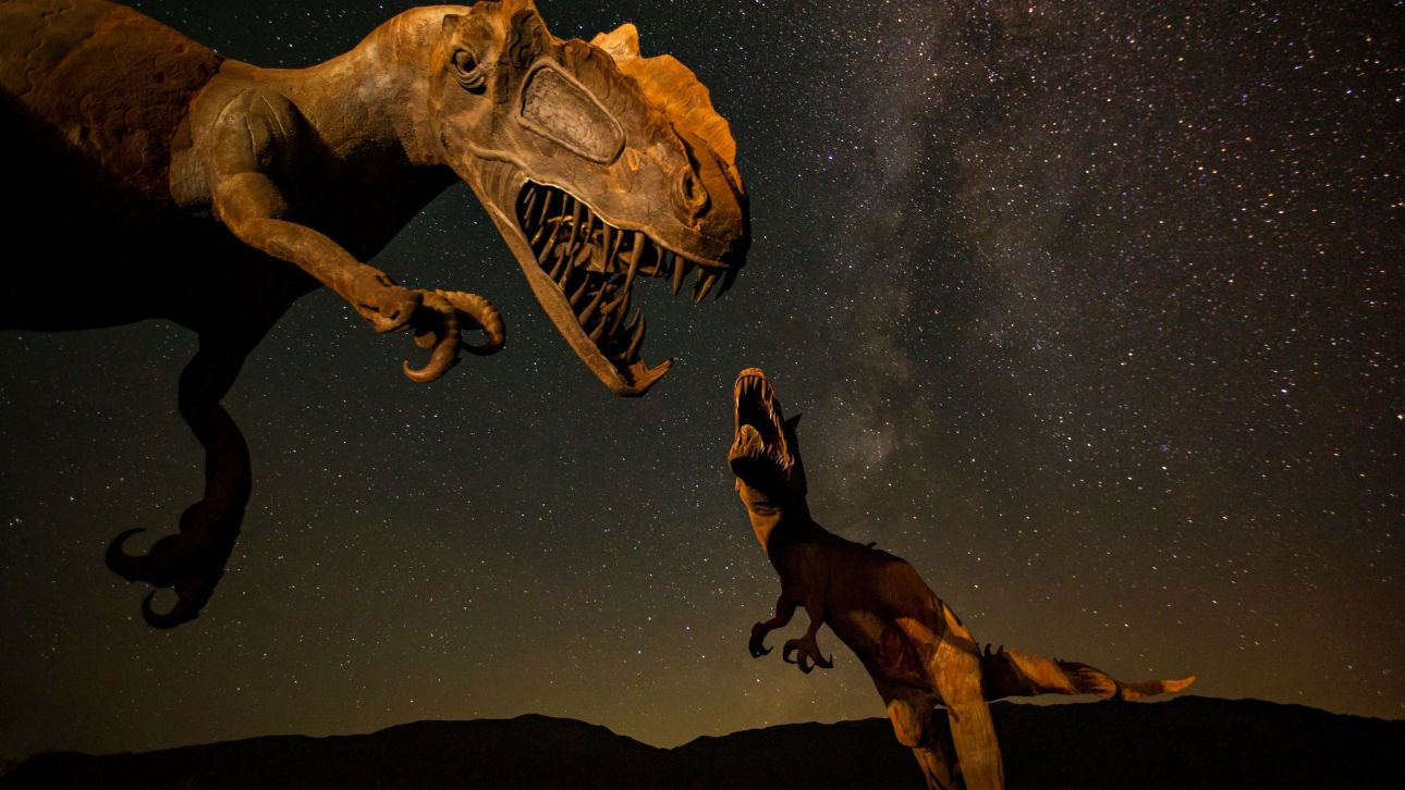 &Alpha;&pi;&omicron;&lambda;&iota;&theta;ώ&mu;&alpha;&tau;&alpha; &mu;&iota;&kappa;&rho;&omicron;&sigma;&kappa;&omicron;&pi;&iota;&kappa;&omicron;ύ &delta;&epsilon;&iota;&nu;&omicron;&sigma;&alpha;ύ&rho;&omicron;&upsilon; &epsilon;&nu;&tau;&omicron;&pi;ί&sigma;&tau;&eta;&kappa;&alpha;&nu; &sigma;&tau;&eta;&nu; &Iota;&sigma;&pi;&alpha;&nu;ί&alpha; - &Eta; &iota;&delta;&iota;&alpha;ί&tau;&epsilon;&rho;&eta; &sigma;&eta;&mu;&alpha;&sigma;ί&alpha; &tau;&omicron;&upsilon;&sigmaf;