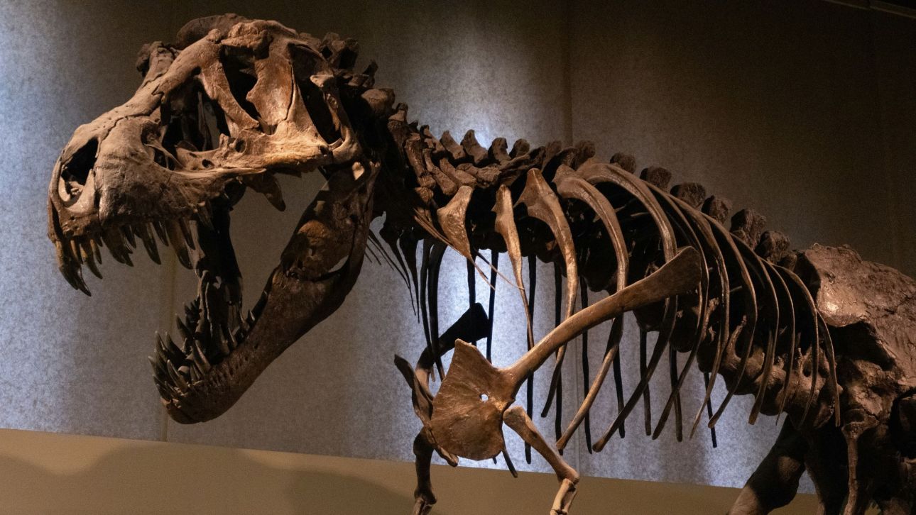 Τα μωρά των γιγάντιων δεινοσαύρων ήταν εύκολη λεία για τους θηρευτές της Ιουρασικής εποχής