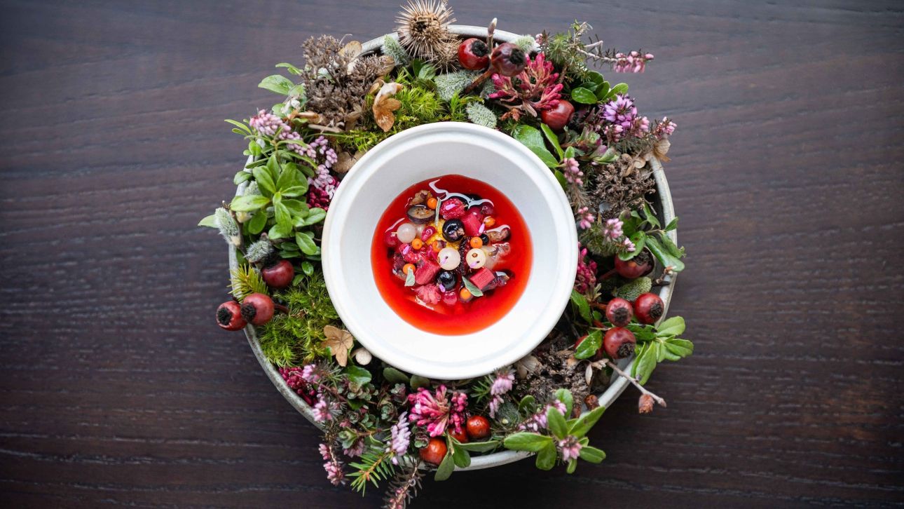 Cook the Mountain: Ό&tau;&alpha;&nu; &eta; &alpha;&lambda;&pi;&iota;&kappa;ή &kappa;&omicron;&upsilon;&zeta;ί&nu;&alpha; &gamma;ί&nu;&epsilon;&tau;&alpha;&iota; &alpha;&phi;&omicron;&rho;&mu;ή &gamma;&iota;&alpha; &omicron;&upsilon;&sigma;&iota;&alpha;&sigma;&tau;&iota;&kappa;ά &beta;&iota;ώ&sigma;&iota;&mu;&eta; &upsilon;&psi;&eta;&lambda;ή &gamma;&alpha;&sigma;&tau;&rho;&omicron;&nu;&omicron;&mu;ί&alpha;