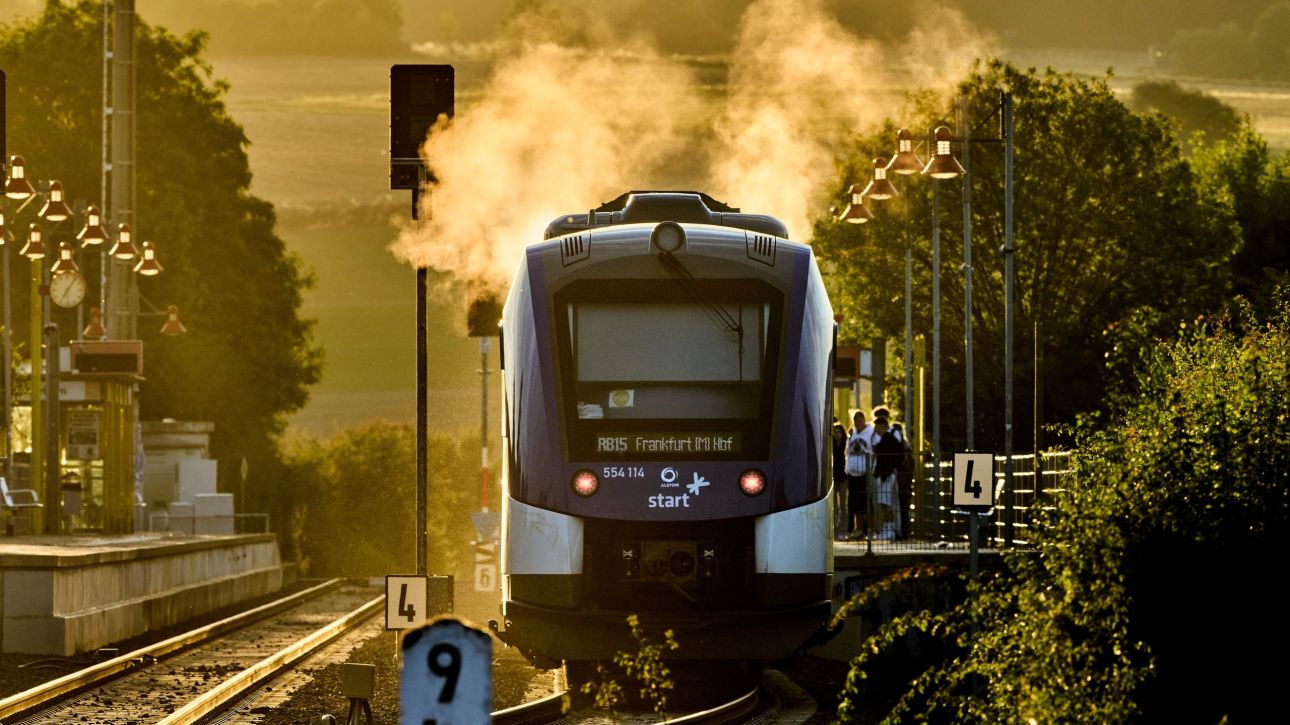 &Gamma;&epsilon;&rho;&mu;&alpha;&nu;ί&alpha;: &Alpha;&pi;ό &epsilon;&gamma;&kappa;&epsilon;&phi;&alpha;&lambda;&iota;&kappa;ή &alpha;&iota;&mu;&omicron;&rho;&rho;&alpha;&gamma;ί&alpha; &omicron; &theta;ά&nu;&alpha;&tau;&omicron;&sigmaf; &tau;&omicron;&upsilon; &epsilon;&lambda;&epsilon;&gamma;&kappa;&tau;ή - &Alpha;&nu;&alpha;&kappa;&omicron;&pi;ή &upsilon;&pi;έ&sigma;&tau;&eta; &omicron; &pi;&alpha;&tau;έ&rho;&alpha;&sigmaf; &tau;&omicron;&upsilon;