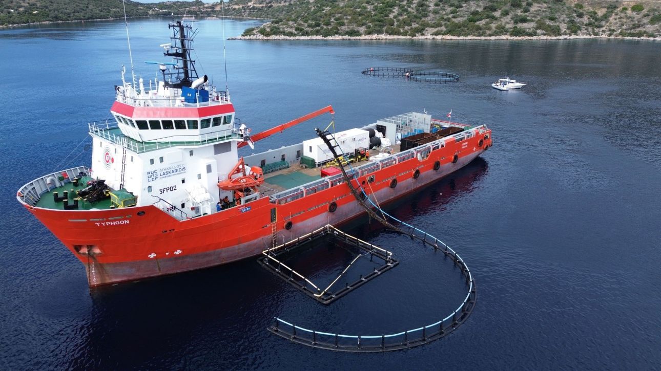 Explainer video: &Tau;&iota; &epsilon;ί&nu;&alpha;&iota; &tau;&alpha; ghost farms - &Eta; &pi;&rho;ό&kappa;&lambda;&eta;&sigma;&eta; &gamma;&iota;&alpha; &tau;&iota;&sigmaf; &iota;&chi;&theta;&upsilon;&omicron;&kappa;&alpha;&lambda;&lambda;&iota;έ&rho;&gamma;&epsilon;&iota;&epsilon;&sigmaf;